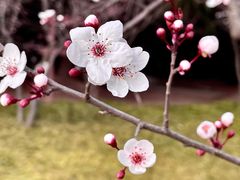 -黄兴公园