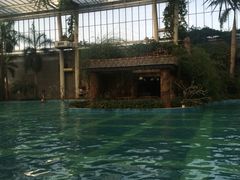 -龙达温泉生态城