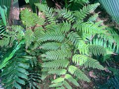 -华大咖啡(华大时空中心店)