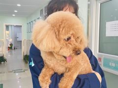 -佳雯宠物医院(金华南路分院)