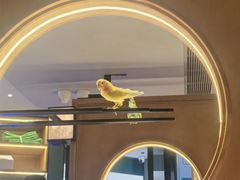 -小菜园新徽菜(青岛市南万象城店)