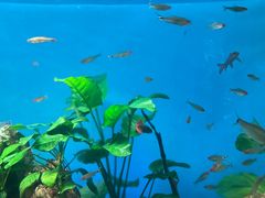 -太平洋海底世界