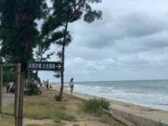 -贝壳沙滩