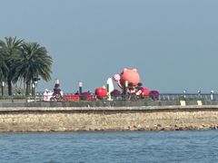-野狸岛