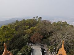 -水濂山森林公园