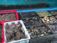 -白沙洲农产品大市场-海鲜交易区