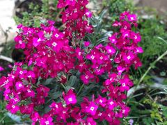 -玉水寨丽江源餐厅