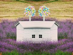 -紫颐香薰山谷景区