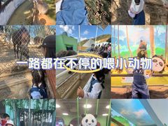 -大连森林动物园