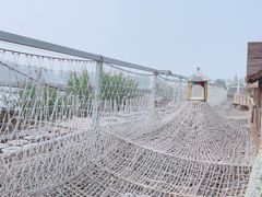 -呀路古热带植物园