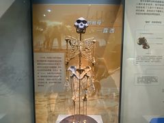 -天津自然博物馆