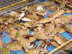 -半岛听涛蒸汽海鲜自助(K11店)