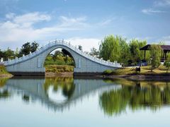 -洪湖湿地生态园