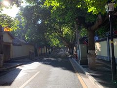 -紫峰大厦