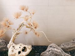 -长嘉·河图火锅(长嘉汇江景旗舰店)