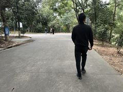 -中山市树木园