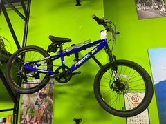 -道路口单车爱瓦士dahon大行