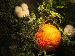 -月芽·自由餐厅·西溪湿地餐厅