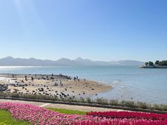 -深圳湾公园(南山区)
