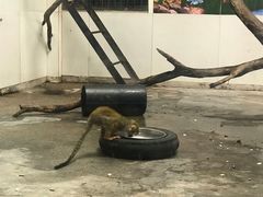 -西安秦岭野生动物园