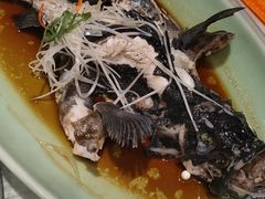 -海派美食·家宴海鲜青岛菜·石锅鲽鱼头(东方城店)