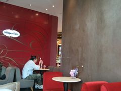 -哈根达斯(朝阳大悦城店)