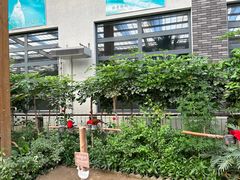 -南宫五洲植物乐园