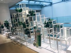 -叶子与茶(苏宁广场店)