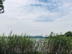 -渤公岛生态公园