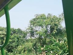 -海南铜鼓岭景区