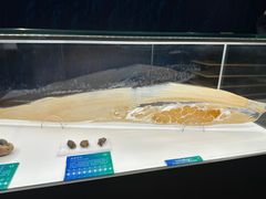 -生命奥秘博物馆