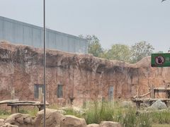 -武汉动物园