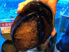 澳洲鲍鱼-协成海鲜火锅(情侣路店)