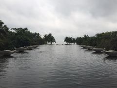 -亚龙湾喜来登·美景台大堂吧