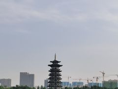 -洋湖国家湿地公园