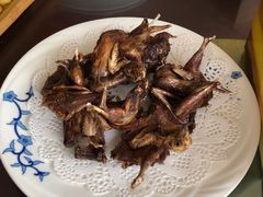 -崂山水果园农家宴(泉水鸡店)