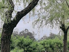 -西湖公园(鼓楼区)