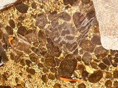 -邈墨茶馆(凤起路店)