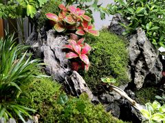 -西安汉城湖景区