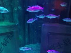 -沈阳海洋探索中心