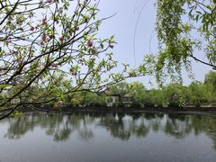 -无锡蠡湖国家湿地公园-蠡园