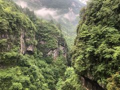 -鹿院坪生态旅游景区