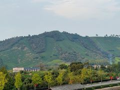 -帐篷客·溪龙茶谷度假酒店