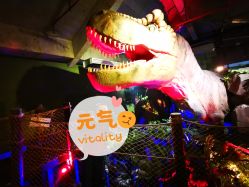 -恐龙探索乐园(磁器口店)