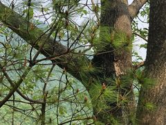 -东天目山风景区