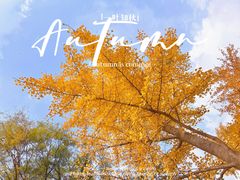 -北京石景山游乐园