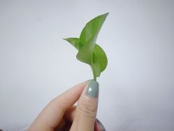 -悦色美甲美睫·精品