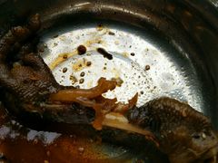 -老号尤兔头(幸福店)