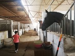 -月河湾马术俱乐部(朝阳店)