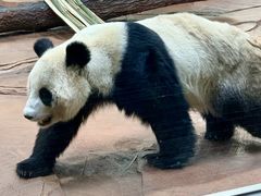 -秦皇岛野生动物园